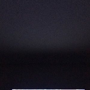 Meet your Posher, Rodney